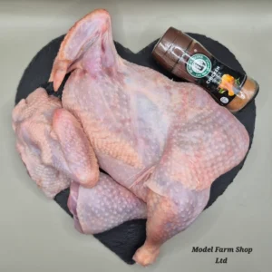 Big Hard Chicken