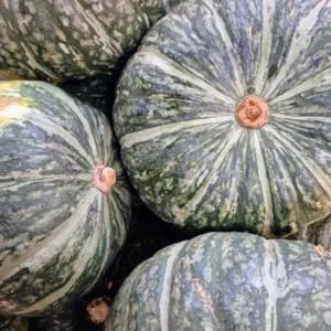 Pumpkin