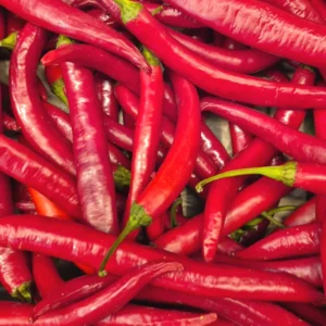 Long Red Chilli