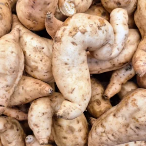 White Sweet Potato