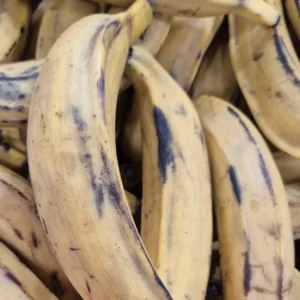 Yellow Plantain