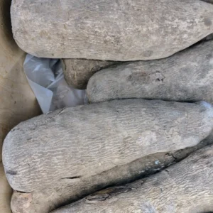 Yam