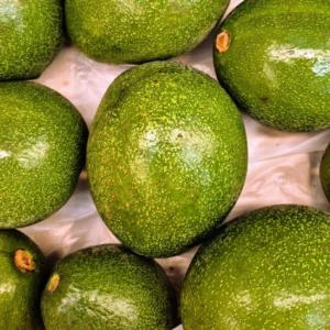 Avocado