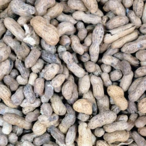 Nuts