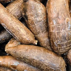 Cassava