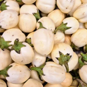 Garden Eggs