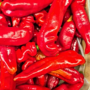 Romero Pepper