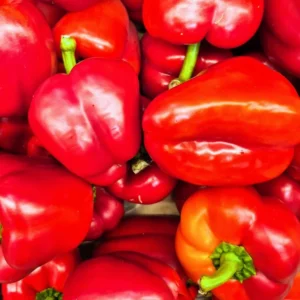 Red Bell Pepper