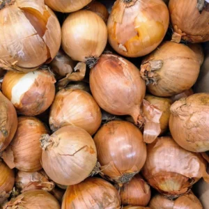 White Onion