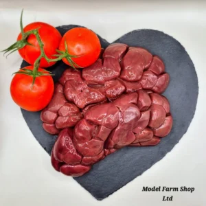 Ox Kidney